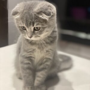 20231022_201859389_iOS